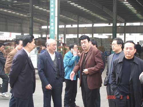 点击见大图