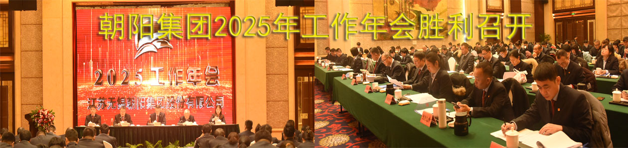 朝阳集团2025年工作年会胜利召开